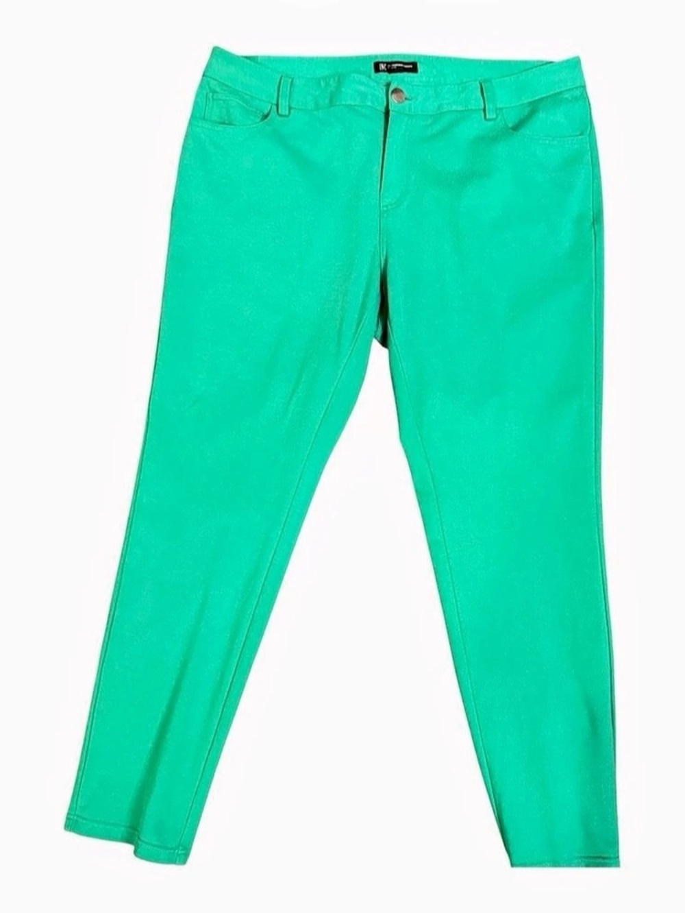 INC Skinny Jeggings in Green